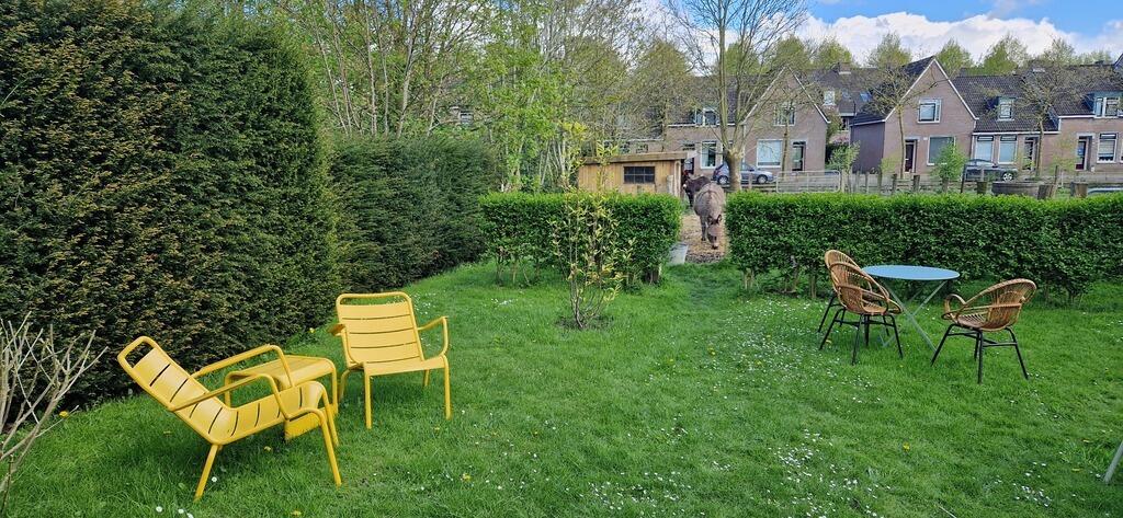 Chillplek en ezels